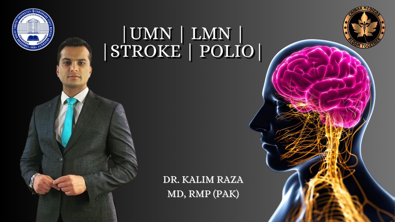 UMN and LMN